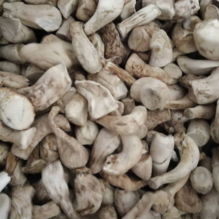 Factory Price High Quality 100% Fresh Cultivated Raw Brown Dried Mushroom/Shiitake Fungus