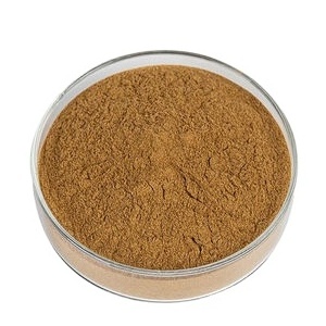 The Best Selling Bamboo Extract Powder Bamboo Leaf Herbal Extract Health Food Food, Healthcare Products Brown Fine Powder 1 Kg