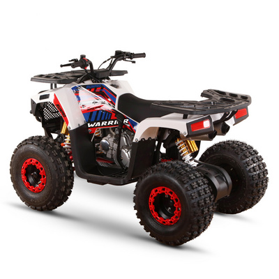 125cc 110cc 4 stroke mini  quad epa adult atvs 4 wheeler ATV for kids/teenager buggy atv