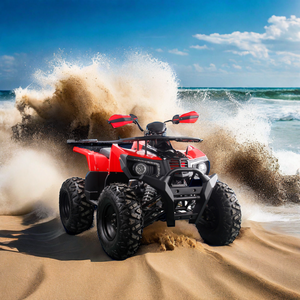 2024 New Arrival 10 Inch Tire Big Powerful ATV 150CC 200CC 250CC Adult Farm Quad 4 Stroke Four Wheels with CE