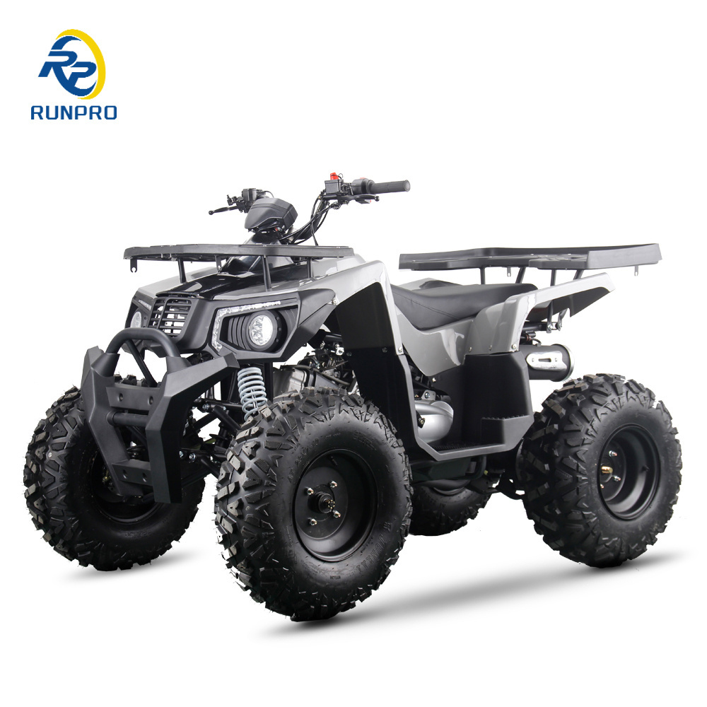 2024 New Arrival 10 Inch Tire Big Powerful ATV 150CC 200CC 250CC Adult Farm Quad 4 Stroke Four Wheels with CE