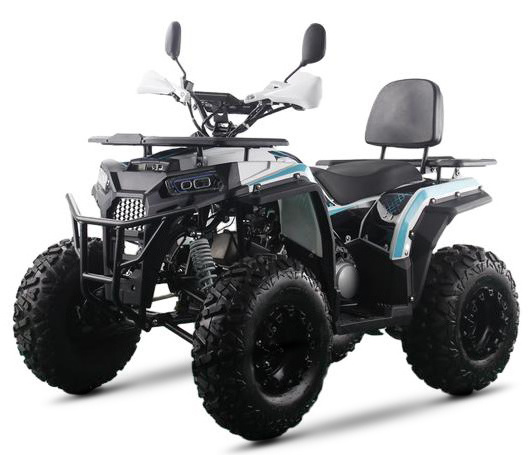 RUNPRO BRAND ELECTRIC&PULL START 200CC ATV 250CC ATV ADULT ATV QUAD BIKE