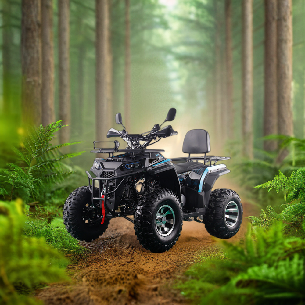 RUNPRO BRAND ELECTRIC&PULL START 200CC ATV 250CC ATV ADULT ATV QUAD BIKE