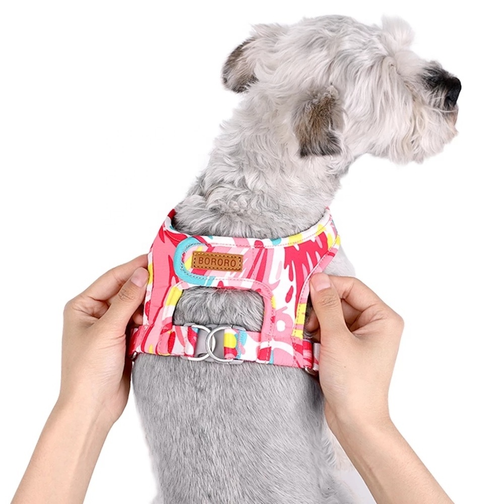 Dog Harness for Small Dogs Pink Prints Soft Padded Pet Chest Vest Non-Choke Designer Puppy Harness Leash Set Cat Dog Accessories