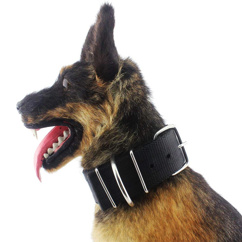 Adjustable 2 inch width heavy duty tough nylon classic webbing dog collar with stainless steel metal buckle