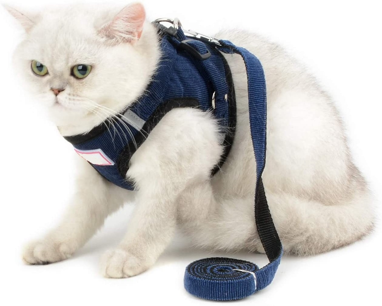 Cats Mesh Harness No Pull No Choke Escape Proof, Small Dogs Padded Vest Leash Lead, Kitten Walking Jacket with Training Collar