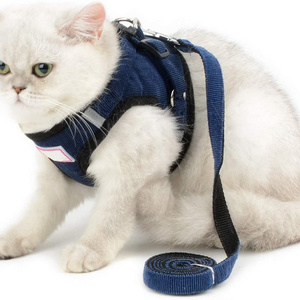 Cats Mesh Harness No Pull No Choke Escape Proof, Small Dogs Padded Vest Leash Lead, Kitten Walking Jacket with Training Collar