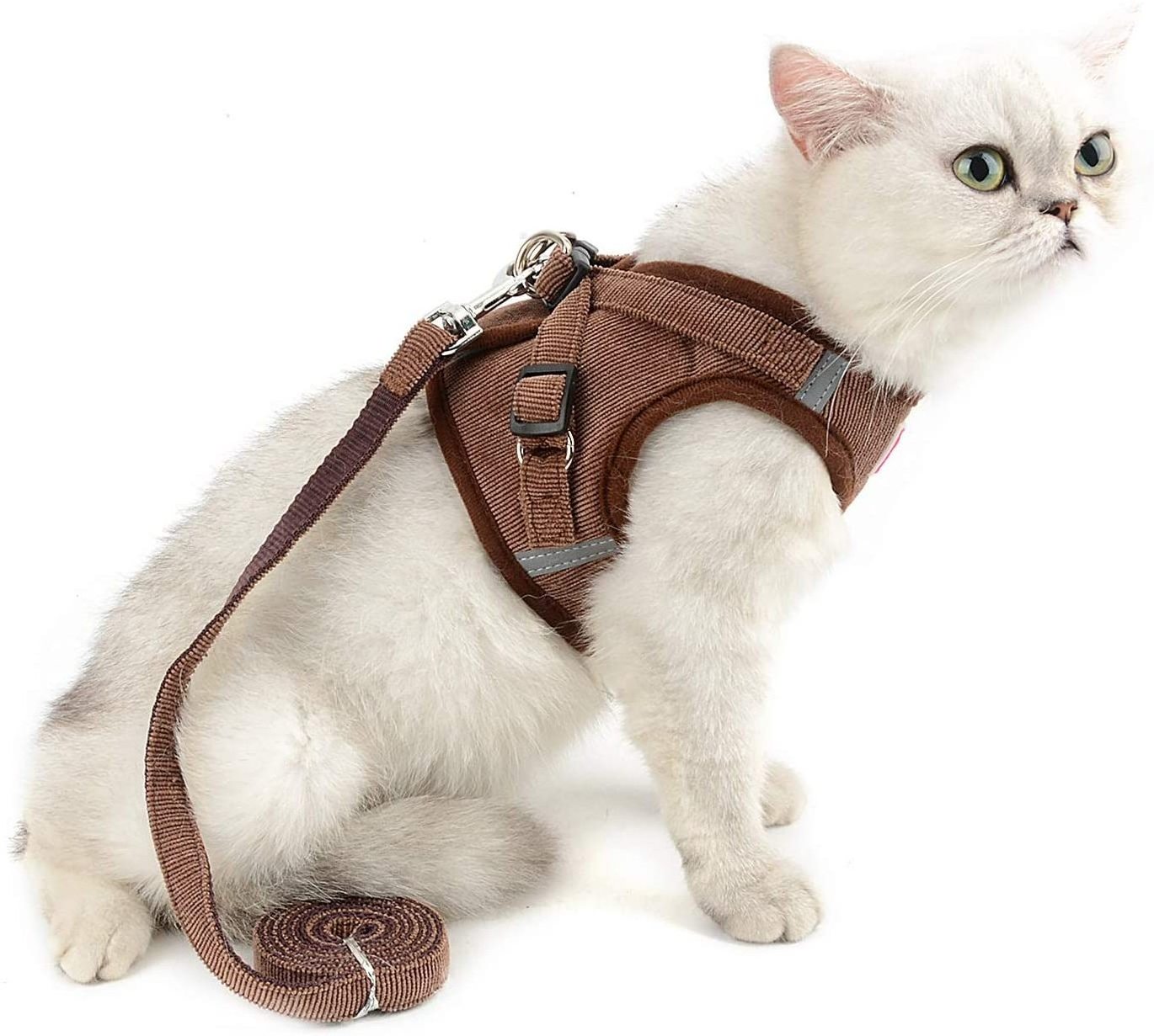 Cats Mesh Harness No Pull No Choke Escape Proof, Small Dogs Padded Vest Leash Lead, Kitten Walking Jacket with Training Collar