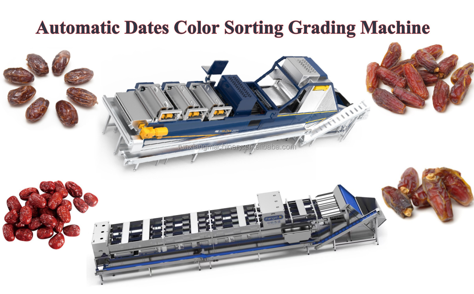 2024 Small Dry Dates Track Classifier Machine Sweet Tomato Selecting And Cherry Fruit Selector Track Equipment