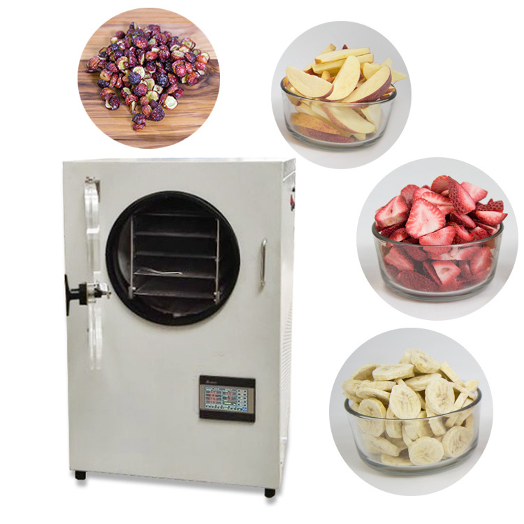 Household Freezing Drying Fruit Vegetable Dehydration Machine Dried Flower Pet Food Coffee Milk Candy Chilli small Freeze Dryer