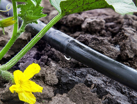 Hot Sale drip tube 16MM drip irrigation pipe for agricultural orchard vegetable water-saving irrigation system