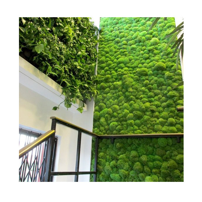 Customization Indoor Decoration Faux Wall Plant Moss Frame Artificial Handmade Green Moss Wall Panel