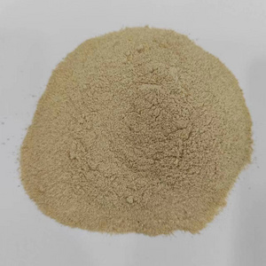 Best Quality Rice Protein Meal RPM for Animal Light Yellow Rice Bran ISO a Grade High Quality Fish Meal 25kg/50kg Bag Packaging