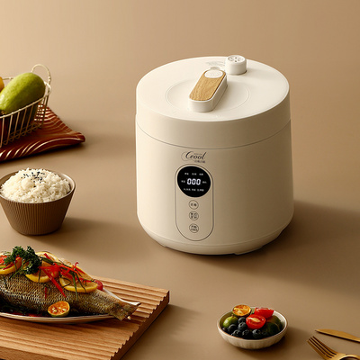 CEOOL Intelligent Kitchen Appliance Pressure Rice Cooker 2.1-3L Multi Functional Electric Mini Rice Cooker