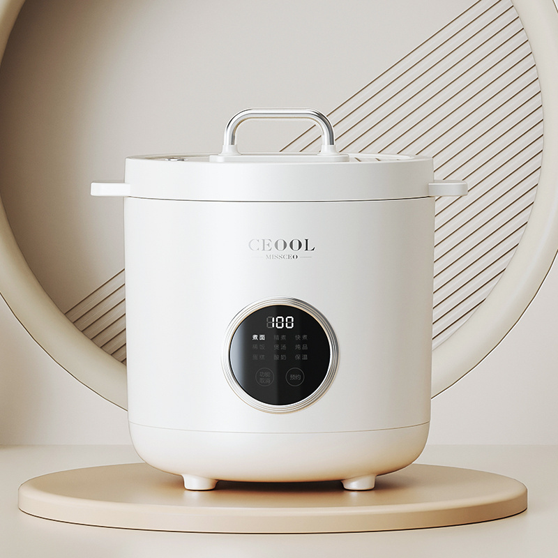 OEM Kitchen Mini Electric Cooker Plastic Steamer Multi Smart Rice Cooker