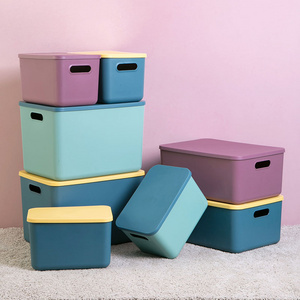 Sundries Warehouse Storage Boxes and Bins With Lid Snack Toys Clothes Socks Panties Boxes storage