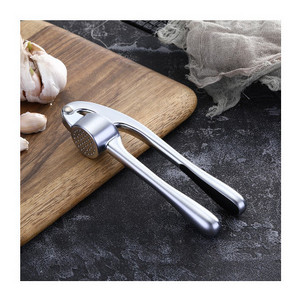 Hot selling factory direct selling zinc alloy fruit and vegetable manual garlic masher tool garlic press