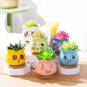 Cartoon ceramic succulent flower pot simple medium size combined desktop green plant small pot colored ceramic flower pot