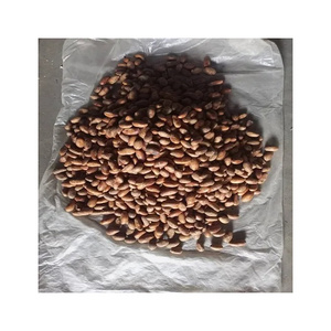 High Nutritious Big Size Premium Quality Wholesale Bulk Organic Tiger Nuts from Nigeria Origin Supplier for Sale