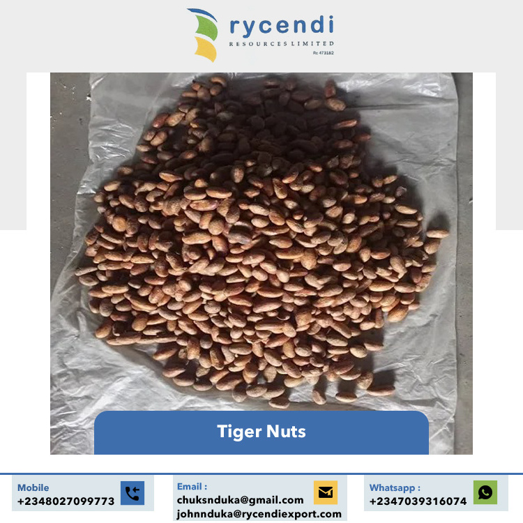 High Grade Quality Top Selling Wholesale Nutritious Organic Tiger Nuts/ Raw Dried Tiger Nuts for Bulk Export