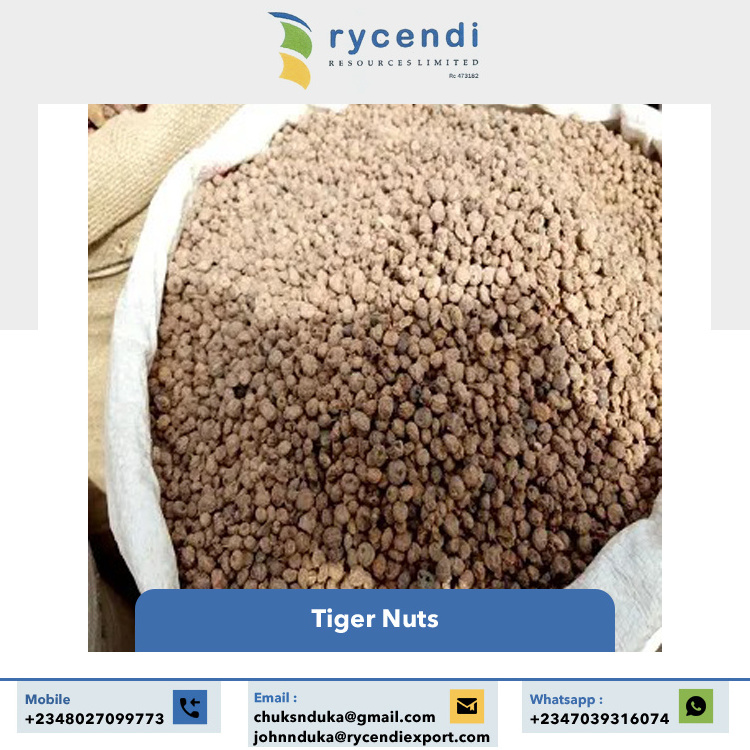 High Nutritious Big Size Premium Quality Wholesale Bulk Organic Tiger Nuts from Nigeria Origin Supplier for Sale