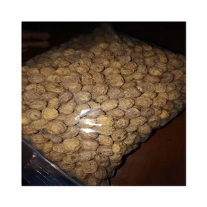 Leading Wholesaler of Excellent Quality Bulk Supply Highly Nutritious Organic Tiger Nuts/ Raw Dried Tiger Nuts from Nigeria