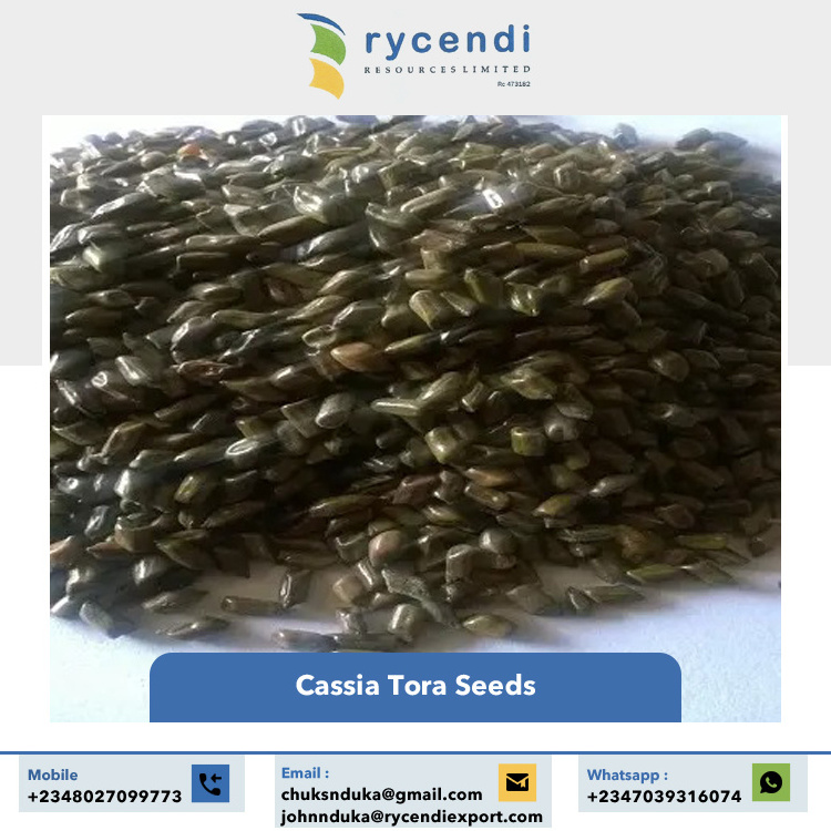 Premium Grade Excellent Quality Best Selling Single Spices & Herbs Cassia Tora Seeds from Nigeria Origin Exporter