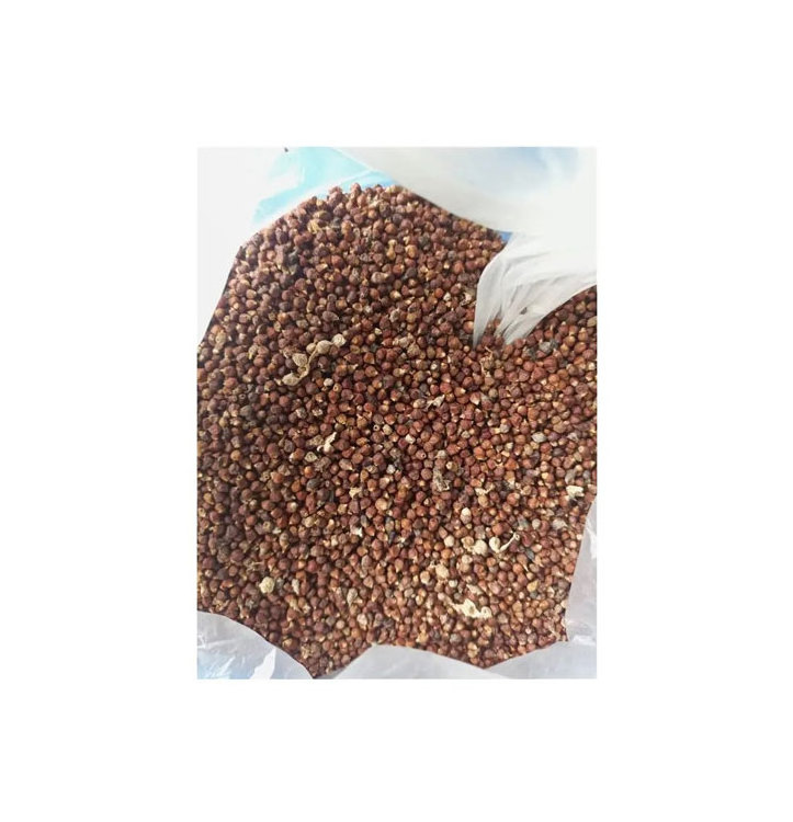 Single Spices & Herbs Products Natural Taste and Original Flavor Raw and Dried Alligator Pepper Seed at Best Price