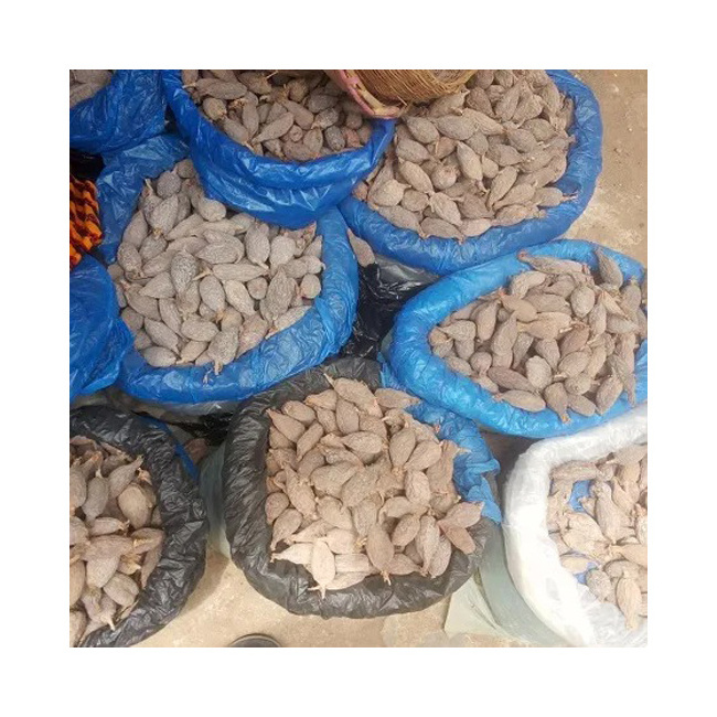 Hot Sale Premium Grade Good Quality Highly Nutritious Nuts & Kernels Product Organic Tiger Nuts from Nigeria