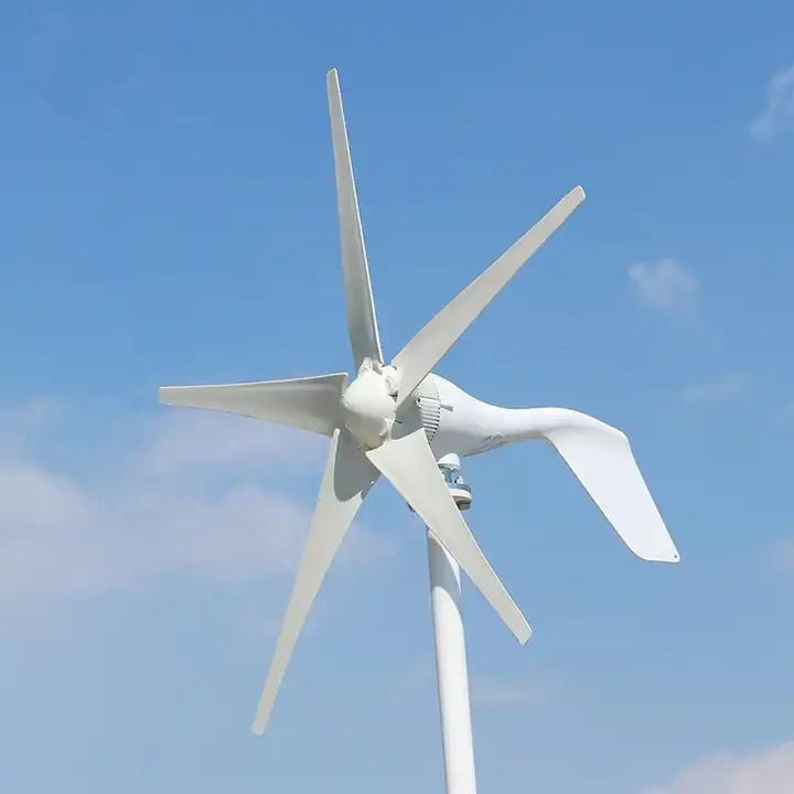 Overseas warehouse 12V 24V 48V home wind turbine 1kw wind turbine generator for Energy Windmill Power Generation