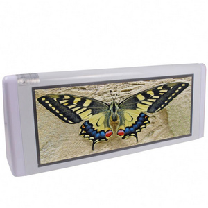 Best 9-taxi 9 taxi video advertising player 4mm led display roof sign for sale