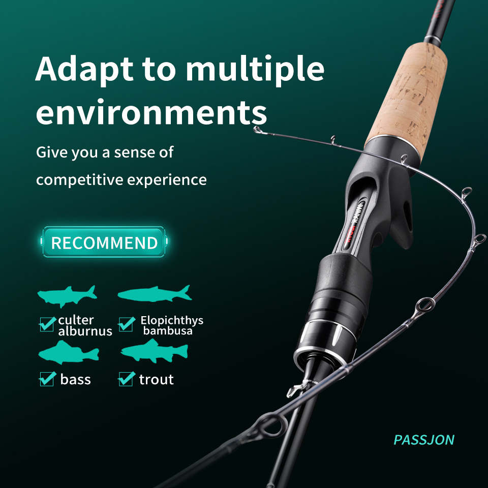 PASSJON Fishing Rod 1.65M-1.80M 2 Section Carbon Fiber Fishing Rod