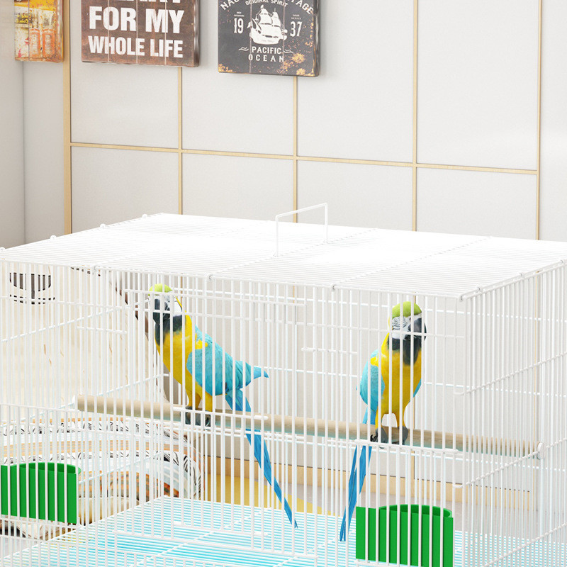 Wholesale Fancy Multi-layer Space Large Big Stainless Steel Pet Parrot Bird Cage