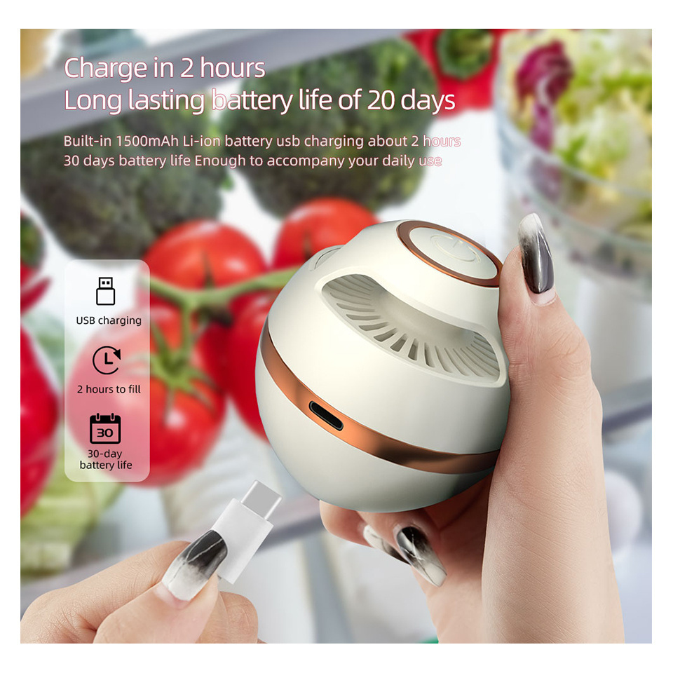 2023 New Mini Portable USB Rechargeable Car Deodorizer, also for Refrigerator, Closet and Wardrobe