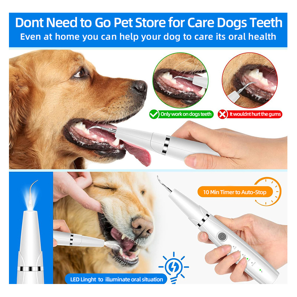 Oral irrigator tonsil stone remover tooth cleaner ultrasonic plaque remover for dogs