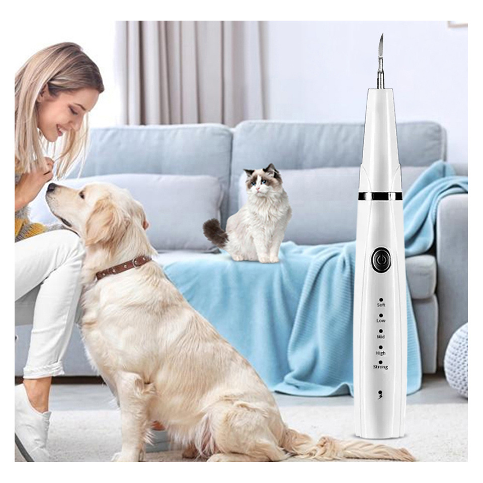 Oral irrigator tonsil stone remover tooth cleaner ultrasonic plaque remover for dogs