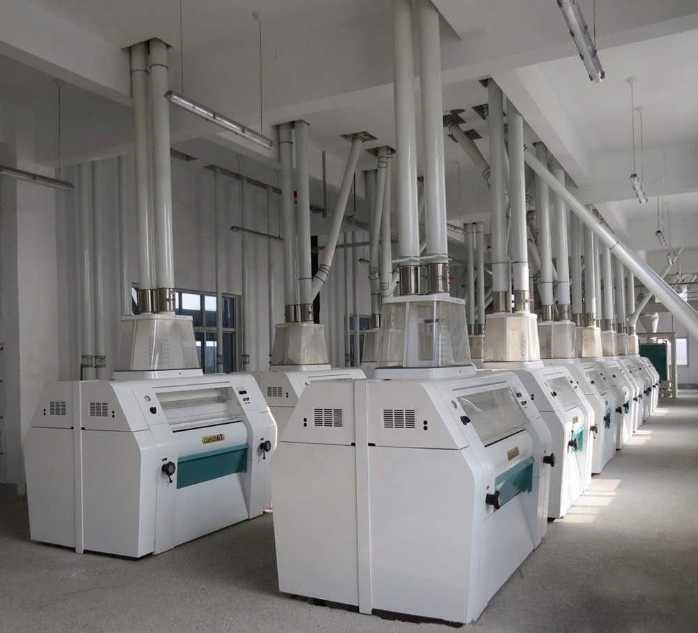 300 tons automatic turkey commercial maize wheat flour mill milling machine in india ethiopia