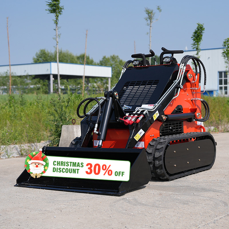 CE Ers280 200kg EPA Construction Machines Small Chinese International Mini Skid Steer Loader With Bucket Mulcher