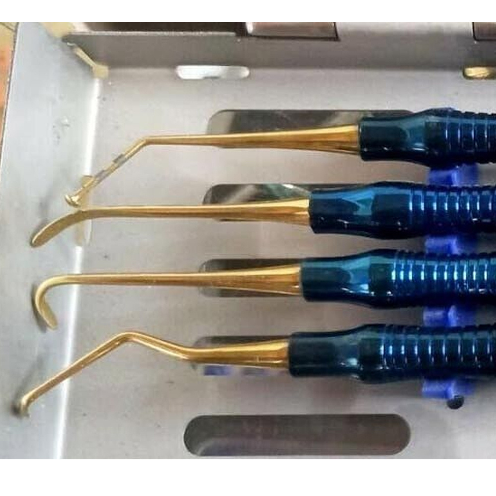 Wholesale Dental Surgical Instrument Dental Root Elevator Stainless Steel Autoclave 10 pcs Set  Dental Root Elevator