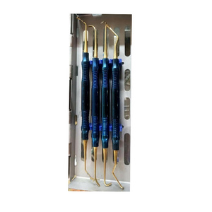 Wholesale Dental Surgical Instrument Dental Root Elevator Stainless Steel Autoclave 10 pcs Set  Dental Root Elevator