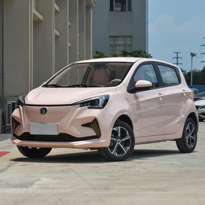 Flash sales Changan Benben 310km e-star 2022 Delightful version new energy vehicle cheapest electric car