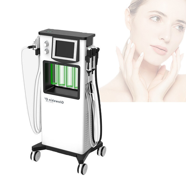 Multifunctional aesthetic equipment blackhead removal oxygen carboxy therapy  SA-HP12 dermabrasion peeling