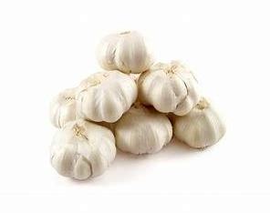 Fresh garlic pure white harvested in India used for kitchen cooking and boost immune system direct supply from factory