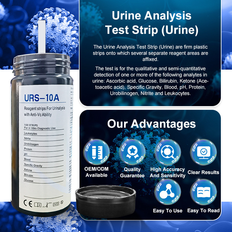 Urinalysis Reagent Test Strip Rapid Test Kit Urine Tests Strips