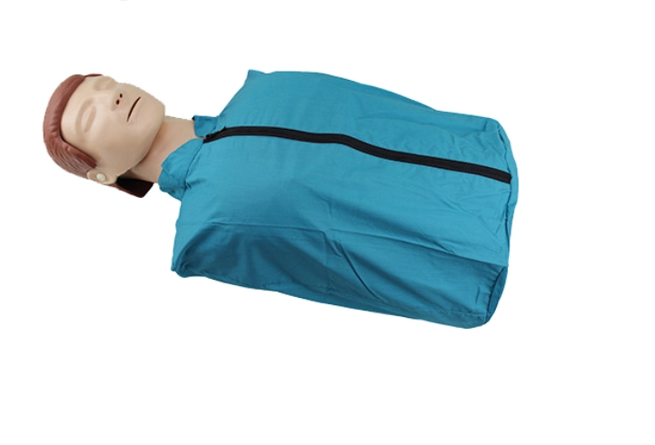 Economic CPR Training Manikin Half Body CPR manikin Medical  basic CPR manikin model