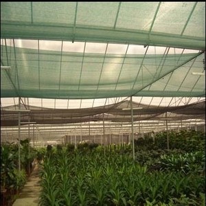 agricultural Cover greenhouse sun shade net