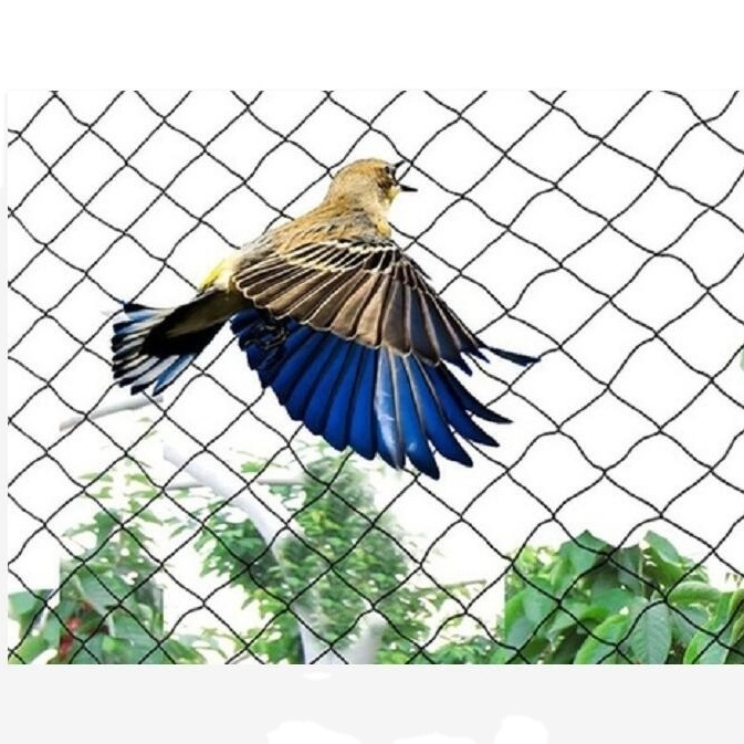 Light weight anti bird mist net Polyethylene Anti Bird Protection Net