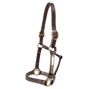 Hot Sale 2024 Leather Horse Halter with Solid Brass Fittings Wholesale Horse Riding Leather Bridle Halter With Custom Colors