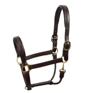 Wholesale 2024 Leather Horse Halter with Solid Brass Fittings Wholesale Horse Riding Leather Bridle Halter With Custom Colors