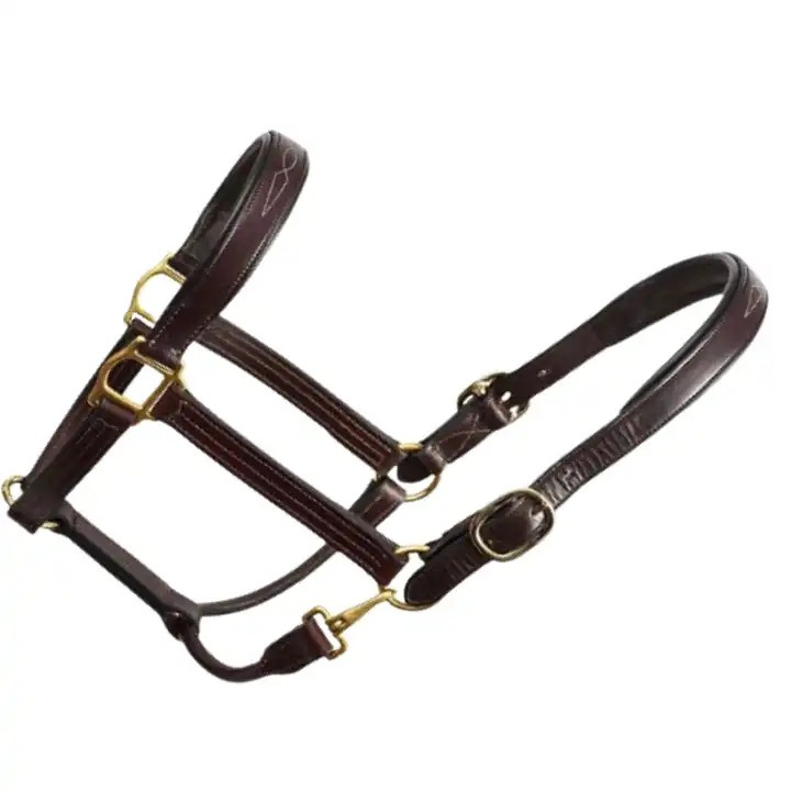 Wholesale 2024 Leather Horse Halter with Solid Brass Fittings Wholesale Horse Riding Leather Bridle Halter With Custom Colors